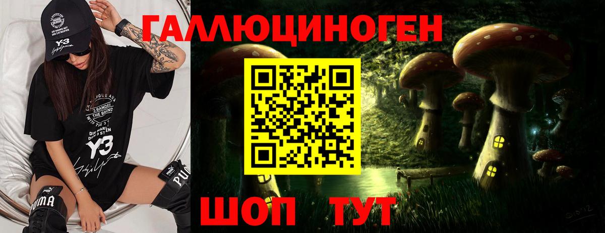 Армавир  Псилоцибиновые грибы мухоморы  Вход с VPN 