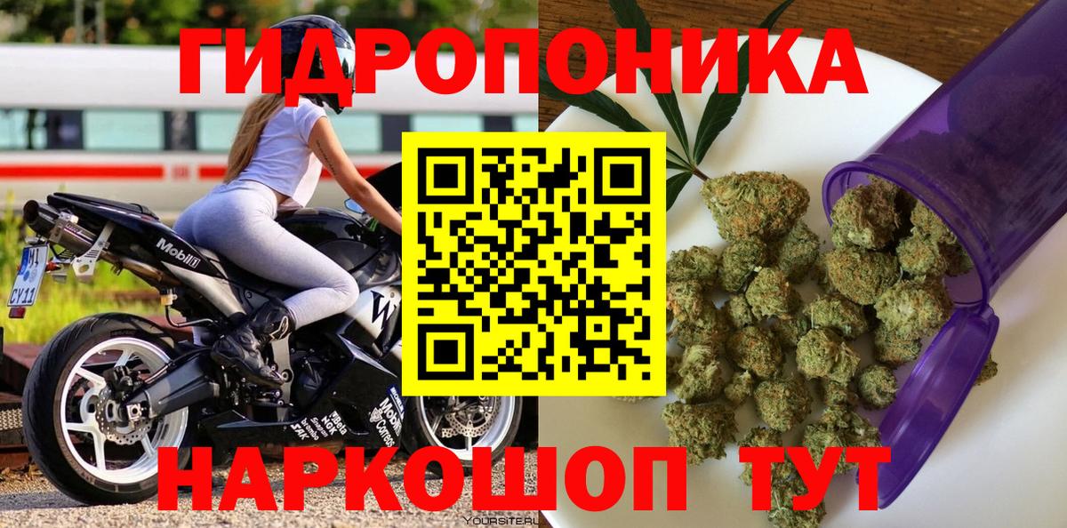 Бошки Шишки планчик Армавир